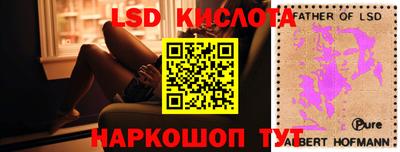 ГАЛЛЮЦИНОГЕННЫЕ ГРИБЫ Камышлов