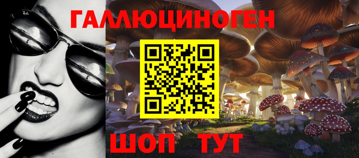 купить наркотик  Вход с VPN  Красногорск  Псилоцибиновые грибы мицелий 